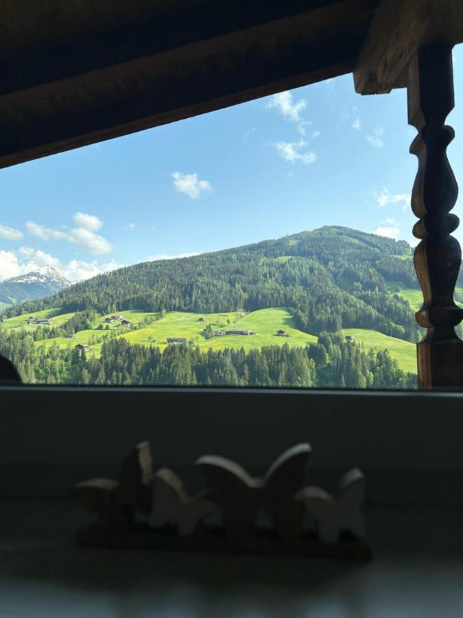 Appartement Haus Schmetterling à Alpbach Extérieur photo
