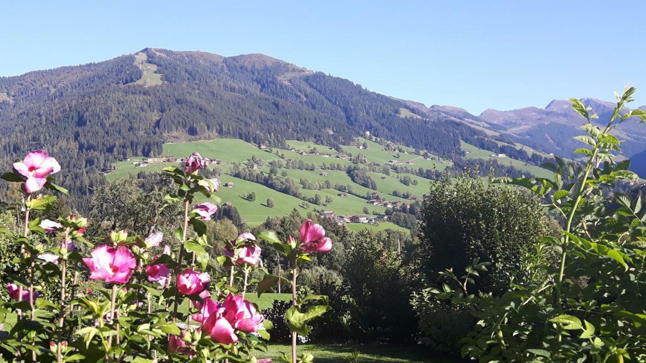 Appartement Haus Schmetterling à Alpbach Extérieur photo